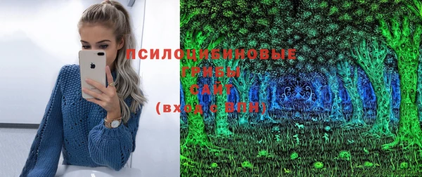 apvp Ессентукская