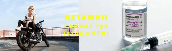 СК Зерноград