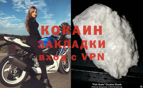 прущие грибы Санкт-Петербург