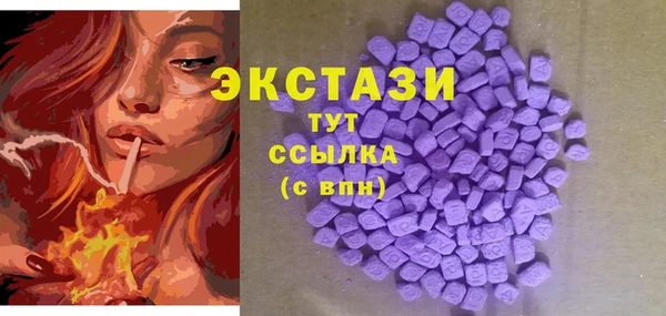 СК Зерноград