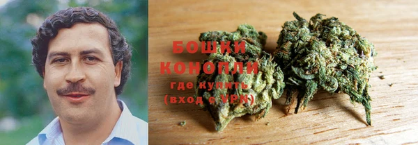 СК Зерноград